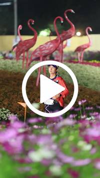 BIB:  <button type="button" onclick="openModal(27591102)" class="btn btn-primary btn-sm float-right" data-toggle="modal" data-target=".modal-high-quality">
                <i class="fa fa-download"></i> Download
                </button>